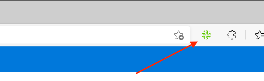 Browser extension pinned