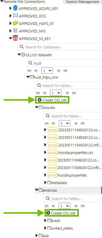 create a dq job from the directory level, not the individual file level