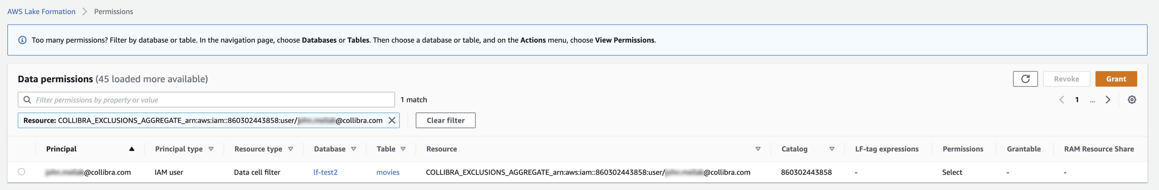 AWS data permission (exclusion data filter)