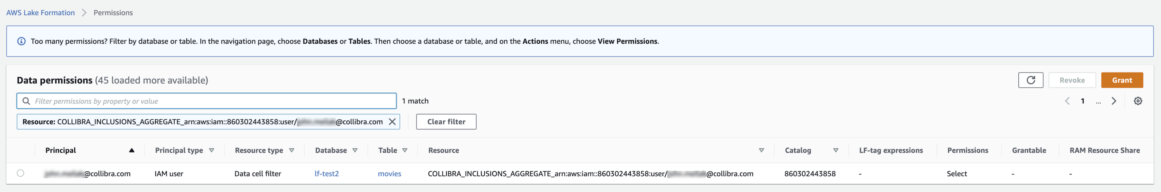 AWS data permission (inclusion data filter)