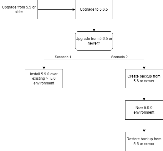 Diagram of overview of upgrade scenarios to 5.9 version