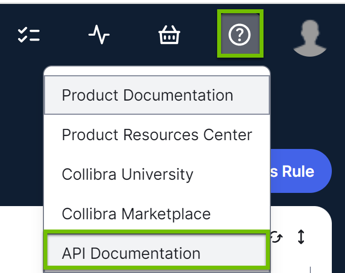 Image showing the link to API Documentation