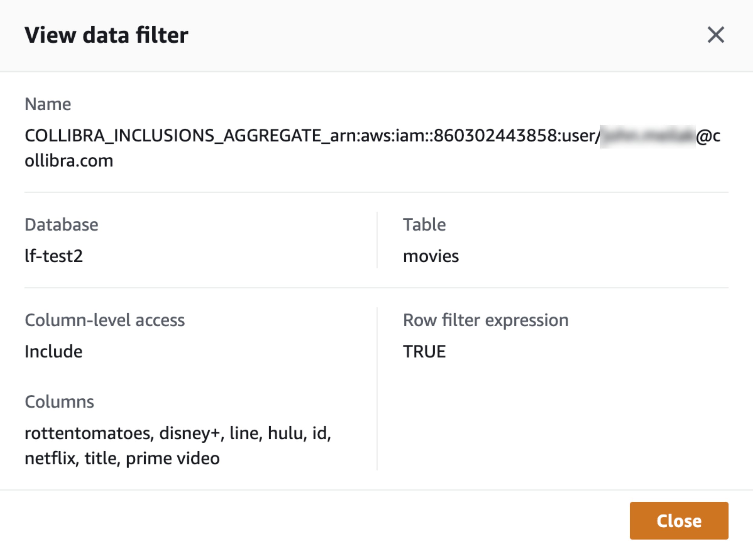 AWS inclusion data filter details