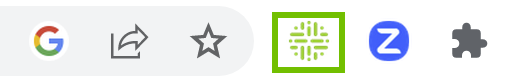 Browser extension pinned
