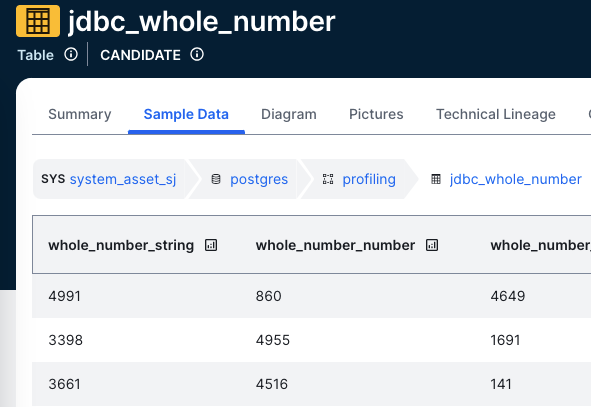 Image of sample data in for a Table asset