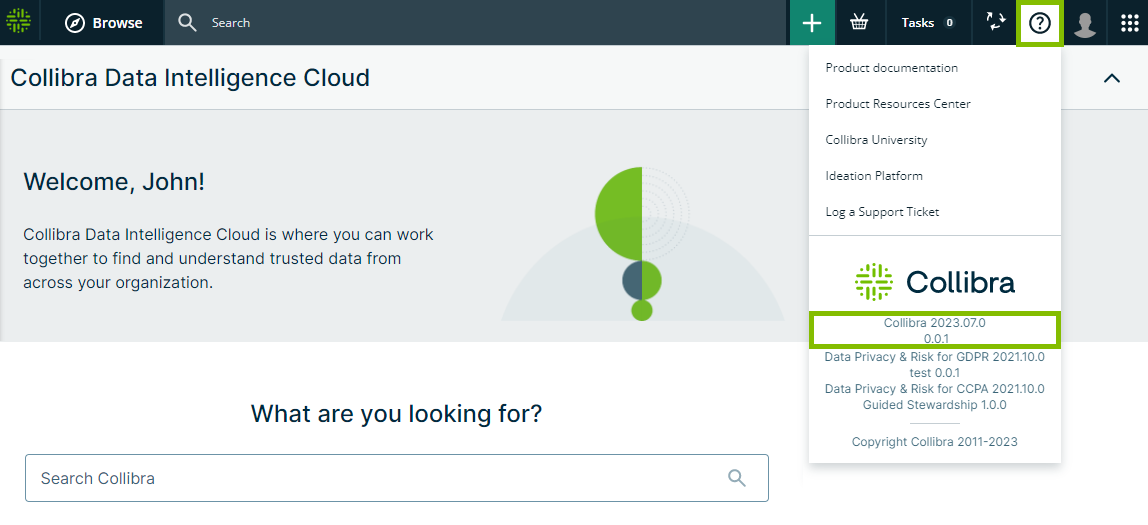 Image showing the location of the Collibra version number in an environment