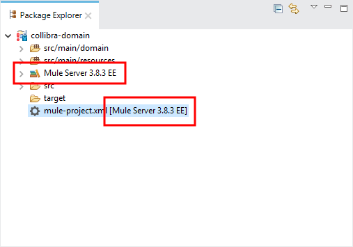 Check the Mule ESB runtime version