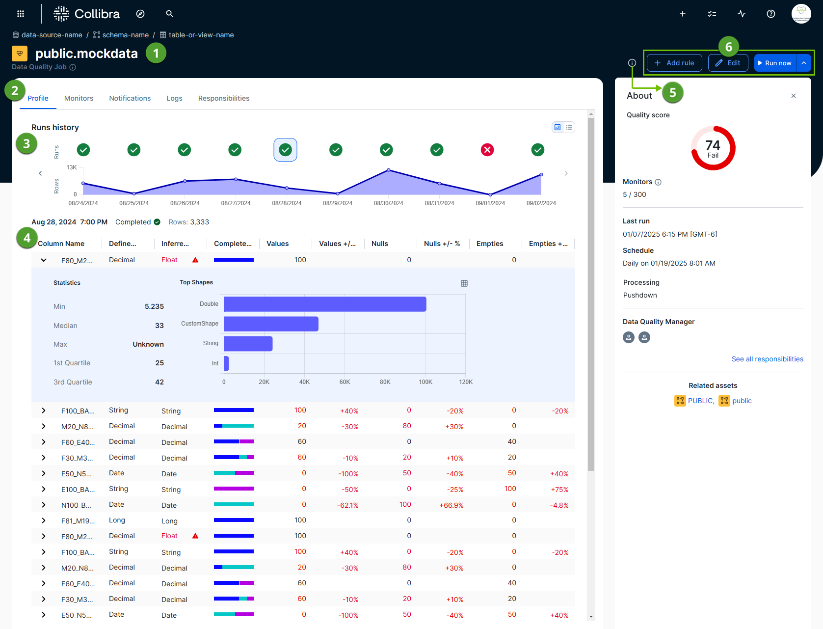 screenshot of data quality job